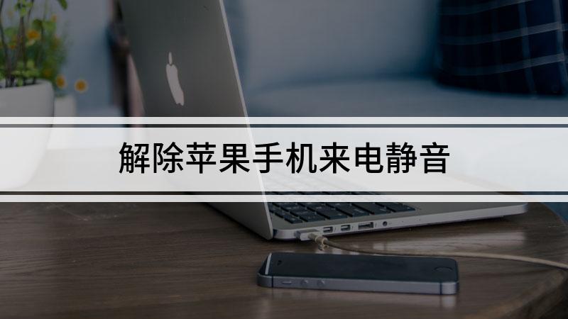 苹果手机怎样静音苹果手机怎么静音模式设置方法