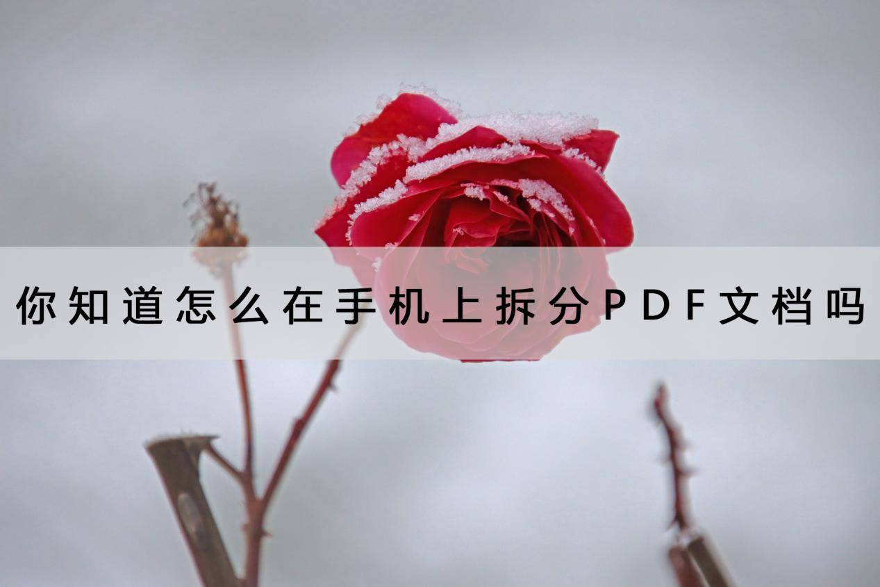 怎么在华为手机图片上圈画
:你知道怎么在手机上拆分PDF文档吗？这招拆的很快