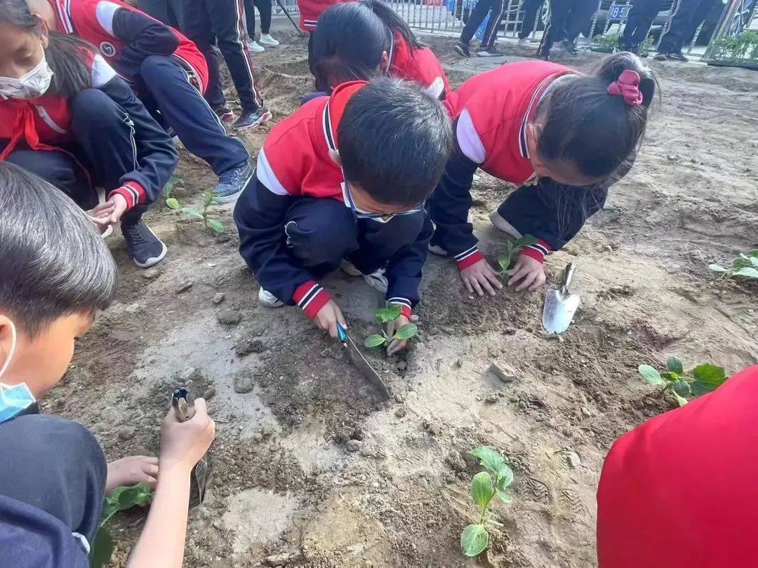 阳光校餐苹果版
:包头市九原区沙河第二小学荣获自治区首批劳动教育实验校-第8张图片-太平洋在线下载