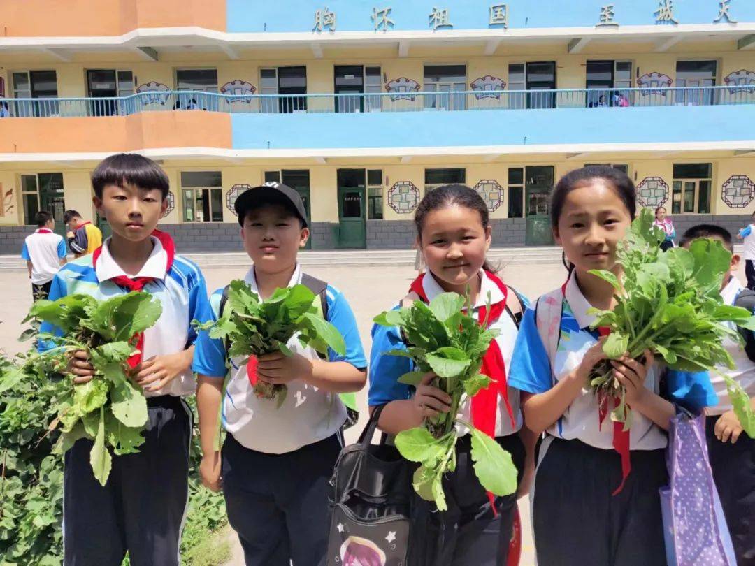 阳光校餐苹果版
:包头市九原区沙河第二小学荣获自治区首批劳动教育实验校-第9张图片-太平洋在线下载