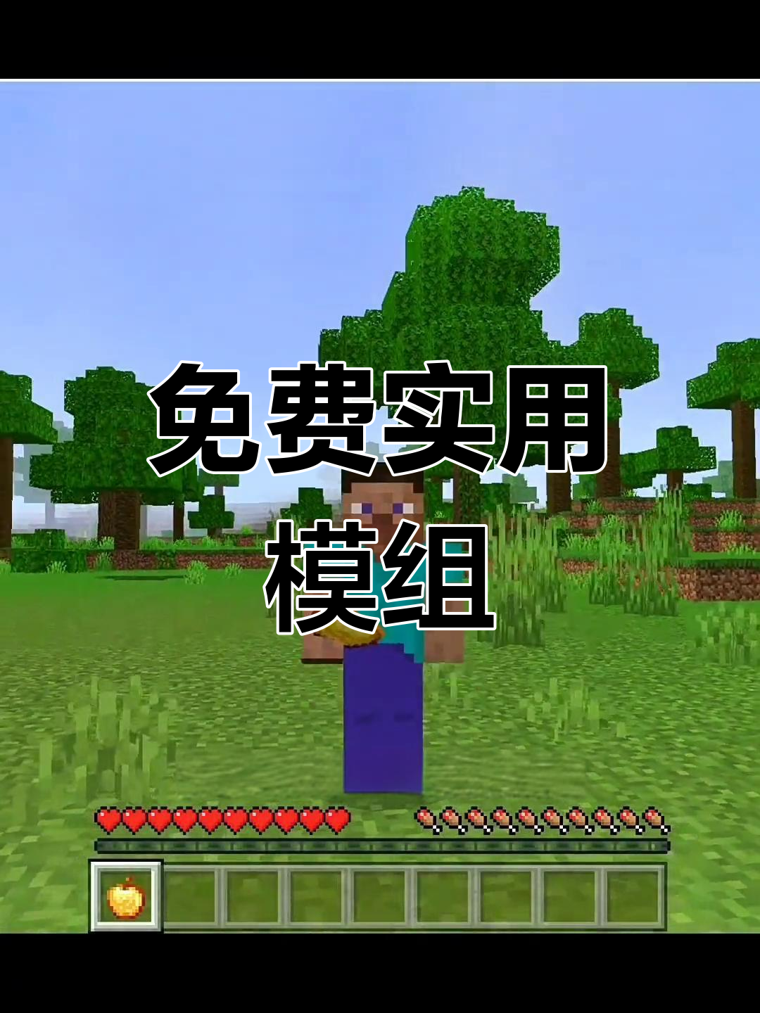 手机版mc下载手机玩mc电脑版的所有软件-第2张图片-太平洋在线下载