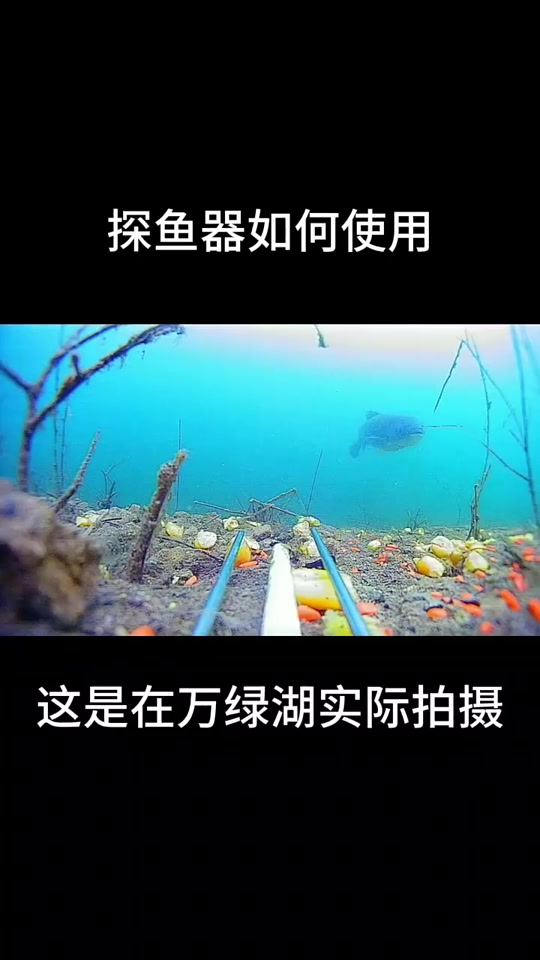 手机版探鱼器软件探鱼器软件下载官网-第2张图片-太平洋在线下载
