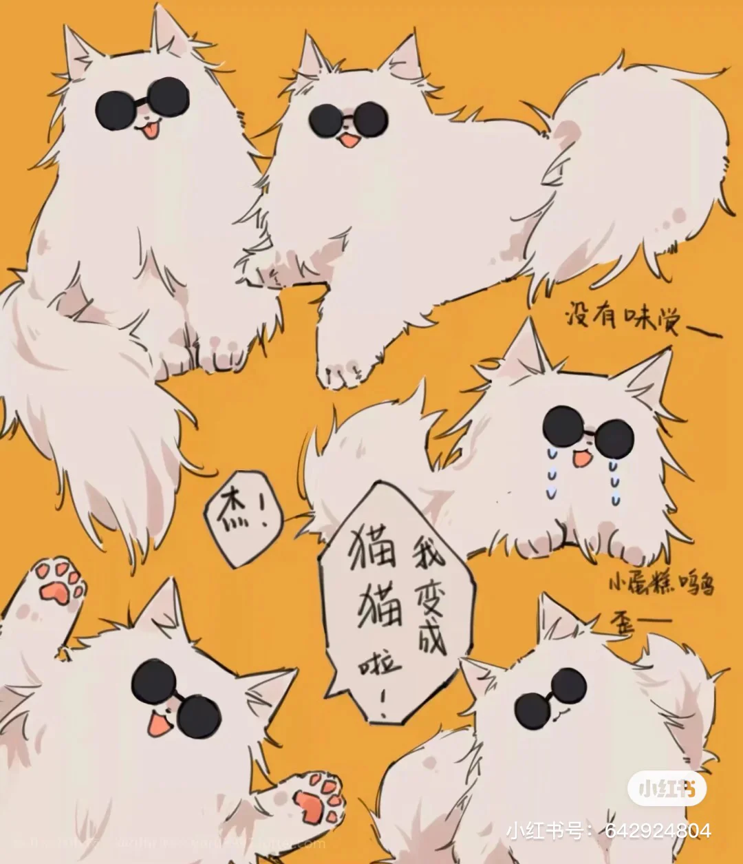 福利猫苹果版早游戏盒子最新下载