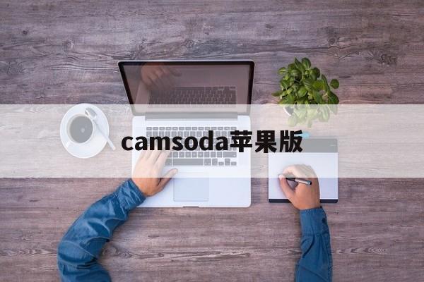 camsoda苹果版(kaleidacam安卓)-第2张图片-QuickQ官网