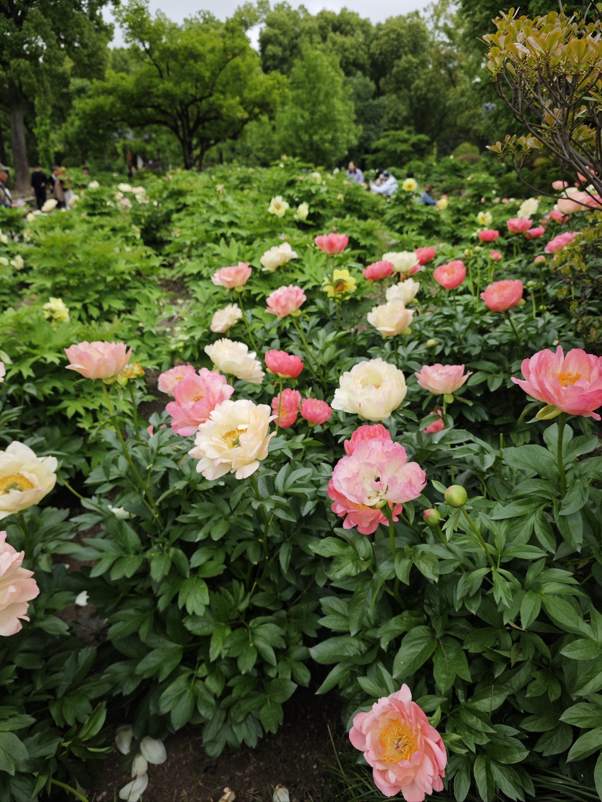 58y手机版下载(58影视手机版本免费下载最新版本)-第5张图片-QuickQ官网