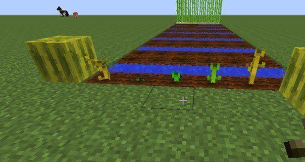 我的世界手机版西瓜种子(我的世界西瓜种子在哪里找)