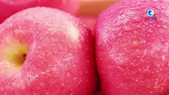 closer苹果版(苹果locker下载)-第2张图片-QuickQ官网