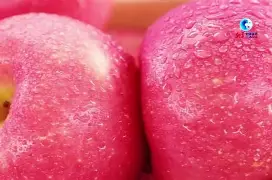 警笛牧场苹果版(警笛头牧场破解版)-第4张图片-QuickQ官网