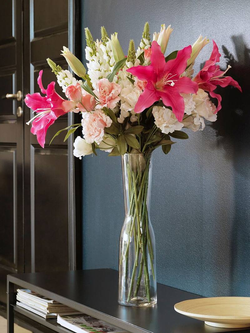 宜家手机壁纸创意版(宜家手机壁纸创意版下载)-第3张图片-QuickQ官网