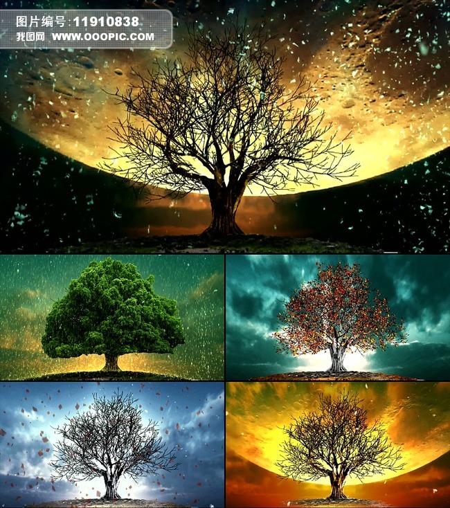 关于季节手机版下载教程视频的信息-第4张图片-QuickQ官网